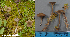  ( - MQ23-HL1940)  @11 [ ] copyright (c) (2022) Herman Lambert Unspecified