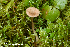  ( - MQ23-HRL3983)  @11 [ ] copyright © (2022) Renee Lebeuf Unspecified