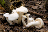  ( - MQ22-HRL0493)  @11 [ ] Copyright (2010) Renee Lebeuf Unspecified