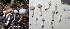  ( - MQ23-HL1210)  @11 [ ] copyright (c) (2012) Herman Lambert Unspecified