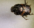  ( - MPALA-T1-ELE-23)  @11 [ ] CreativeCommons  Attribution Non-Commercial Share-Alike  (2024) Unspecified Princeton University