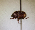  ( - MPALA-T1-ELE-32)  @11 [ ] CreativeCommons  Attribution Non-Commercial Share-Alike  (2024) Unspecified Princeton University