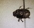  ( - MPALA-T1-ELE-34)  @11 [ ] CreativeCommons  Attribution Non-Commercial Share-Alike  (2024) Unspecified Princeton University