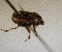  ( - MPALA-T1-ELE-39)  @11 [ ] CreativeCommons  Attribution Non-Commercial Share-Alike  (2024) Unspecified Princeton University