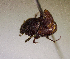  ( - MPALA-T3-ELE-20)  @11 [ ] CreativeCommons  Attribution Non-Commercial Share-Alike  (2024) Unspecified Princeton University