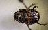  ( - MPALA-T3-ELE-25)  @11 [ ] CreativeCommons  Attribution Non-Commercial Share-Alike  (2024) Unspecified Princeton University