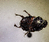  ( - MPALA-T3-ELE-27)  @11 [ ] CreativeCommons  Attribution Non-Commercial Share-Alike  (2024) Unspecified Princeton University