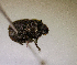  ( - MPALA-T3-ELE-46)  @11 [ ] CreativeCommons  Attribution Non-Commercial Share-Alike  (2024) Unspecified Princeton University