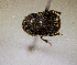  ( - MPALA-T3-ELE-47)  @11 [ ] CreativeCommons  Attribution Non-Commercial Share-Alike  (2024) Unspecified Princeton University