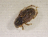  ( - SPEC#1147)  @11 [ ] CreativeCommons  Attribution Non-Commercial Share-Alike  (2024) Unspecified Princeton University