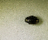  ( - SPEC#1587)  @11 [ ] CreativeCommons  Attribution Non-Commercial Share-Alike  (2024) Unspecified Princeton University