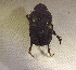  ( - SPEC#2718)  @11 [ ] CreativeCommons  Attribution Non-Commercial Share-Alike  (2024) Unspecified Princeton University