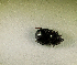  ( - SPEC#2842)  @11 [ ] CreativeCommons  Attribution Non-Commercial Share-Alike  (2024) Unspecified Princeton University