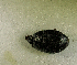  ( - SPEC#2855)  @11 [ ] CreativeCommons  Attribution Non-Commercial Share-Alike  (2024) Unspecified Princeton University