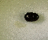  ( - SPEC#2931)  @11 [ ] CreativeCommons  Attribution Non-Commercial Share-Alike  (2024) Unspecified Princeton University