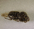  ( - SPEC#3132)  @11 [ ] CreativeCommons  Attribution Non-Commercial Share-Alike  (2024) Unspecified Princeton University