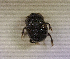  ( - SPEC#3568)  @11 [ ] CreativeCommons  Attribution Non-Commercial Share-Alike  (2024) Unspecified Princeton University