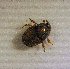  ( - SPEC#3596)  @11 [ ] CreativeCommons  Attribution Non-Commercial Share-Alike  (2024) Unspecified Princeton University
