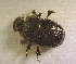  ( - SPEC#3636)  @11 [ ] CreativeCommons  Attribution Non-Commercial Share-Alike  (2024) Unspecified Princeton University