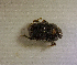  ( - SPEC#3644)  @11 [ ] CreativeCommons  Attribution Non-Commercial Share-Alike  (2024) Unspecified Princeton University