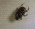  ( - SPEC#3663)  @11 [ ] CreativeCommons  Attribution Non-Commercial Share-Alike  (2024) Unspecified Princeton University