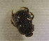  ( - SPEC#3675)  @11 [ ] CreativeCommons  Attribution Non-Commercial Share-Alike  (2024) Unspecified Princeton University