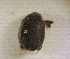  ( - SPEC#3684)  @11 [ ] CreativeCommons  Attribution Non-Commercial Share-Alike  (2024) Unspecified Princeton University