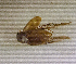  ( - SPEC#3716)  @11 [ ] CreativeCommons  Attribution Non-Commercial Share-Alike  (2024) Unspecified Princeton University