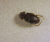  ( - SPEC#3732)  @11 [ ] CreativeCommons  Attribution Non-Commercial Share-Alike  (2024) Unspecified Princeton University