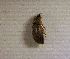  ( - SPEC#3736)  @11 [ ] CreativeCommons  Attribution Non-Commercial Share-Alike  (2024) Unspecified Princeton University