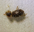  ( - SPEC#3743)  @11 [ ] CreativeCommons  Attribution Non-Commercial Share-Alike  (2024) Unspecified Princeton University