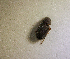  ( - SPEC#3745)  @11 [ ] CreativeCommons  Attribution Non-Commercial Share-Alike  (2024) Unspecified Princeton University