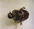  ( - SPEC#3753)  @11 [ ] CreativeCommons  Attribution Non-Commercial Share-Alike  (2024) Unspecified Princeton University