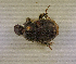  ( - SPEC#3762)  @11 [ ] CreativeCommons  Attribution Non-Commercial Share-Alike  (2024) Unspecified Princeton University