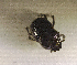  ( - SPEC#3804)  @11 [ ] CreativeCommons  Attribution Non-Commercial Share-Alike  (2024) Unspecified Princeton University