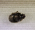  ( - SPEC#3833)  @11 [ ] CreativeCommons  Attribution Non-Commercial Share-Alike  (2024) Unspecified Princeton University