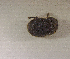  ( - SPEC#3853)  @11 [ ] CreativeCommons  Attribution Non-Commercial Share-Alike  (2024) Unspecified Princeton University
