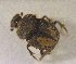  ( - SPEC#3869)  @11 [ ] CreativeCommons  Attribution Non-Commercial Share-Alike  (2024) Unspecified Princeton University