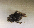  ( - SPEC#3877)  @11 [ ] CreativeCommons  Attribution Non-Commercial Share-Alike  (2024) Unspecified Princeton University