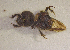  ( - SPEC#3912)  @11 [ ] CreativeCommons  Attribution Non-Commercial Share-Alike  (2024) Unspecified Princeton University