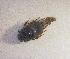  ( - SPEC#3938)  @11 [ ] CreativeCommons  Attribution Non-Commercial Share-Alike  (2024) Unspecified Princeton University