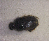  ( - SPEC#3956)  @11 [ ] CreativeCommons  Attribution Non-Commercial Share-Alike  (2024) Unspecified Princeton University