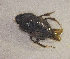  ( - SPEC#4010)  @11 [ ] CreativeCommons  Attribution Non-Commercial Share-Alike  (2024) Unspecified Princeton University
