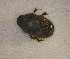  ( - SPEC#4032)  @11 [ ] CreativeCommons  Attribution Non-Commercial Share-Alike  (2024) Unspecified Princeton University