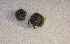  ( - SPEC#4042)  @11 [ ] CreativeCommons  Attribution Non-Commercial Share-Alike  (2024) Unspecified Princeton University