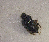  ( - SPEC#4056)  @11 [ ] CreativeCommons  Attribution Non-Commercial Share-Alike  (2024) Unspecified Princeton University