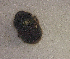  ( - SPEC#4075)  @11 [ ] CreativeCommons  Attribution Non-Commercial Share-Alike  (2024) Unspecified Princeton University