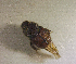  ( - SPEC#4171)  @11 [ ] CreativeCommons  Attribution Non-Commercial Share-Alike  (2024) Unspecified Princeton University