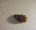  ( - SPEC#4182)  @11 [ ] CreativeCommons  Attribution Non-Commercial Share-Alike  (2024) Unspecified Princeton University