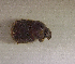  ( - SPEC#4363)  @11 [ ] CreativeCommons  Attribution Non-Commercial Share-Alike  (2024) Unspecified Princeton University